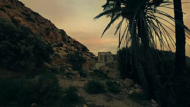 Alchemist - Best Of Ethnic & Organic House