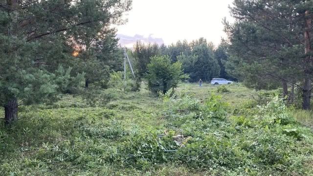8558771 смотреть онлайн