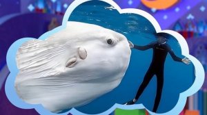 ✨Спокойной ночи, малыши✨137/2025 Космическая рыбалка