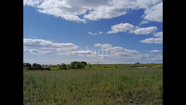 9095331 смотреть онлайн