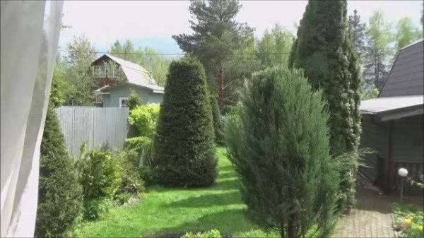 Дела, дела, дела...