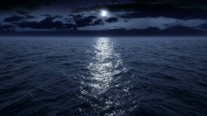 Звуки ночного Океана