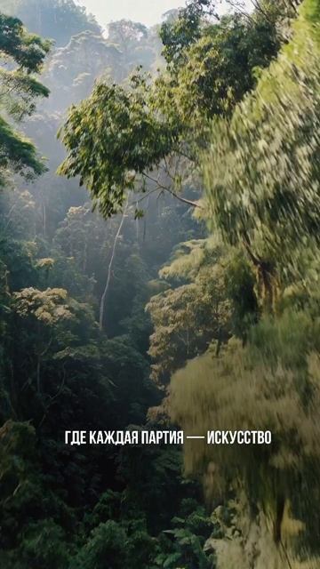 Революция в игре королей.