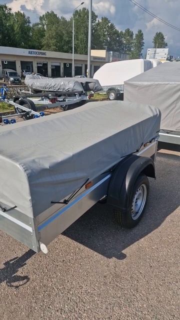 Легковой прицеп МЗСА 817700.002 2.метра с тентом 30 см. Видео обзор Трейли смотреть онлайн