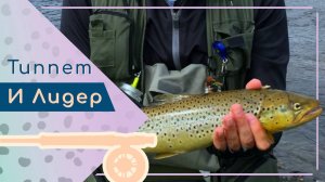 Курс по нахлысту. Лидер (конусный подлесок) и типпет (поводок).