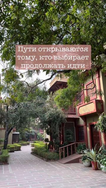 Послание дня.#саморазвитие #самопознание #посланиедня #осознанность