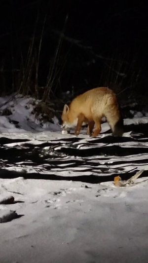 Из воспоминаний 🥰