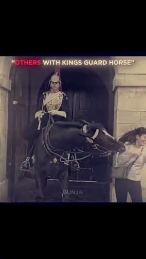 Лошади отличают людей от биороботов