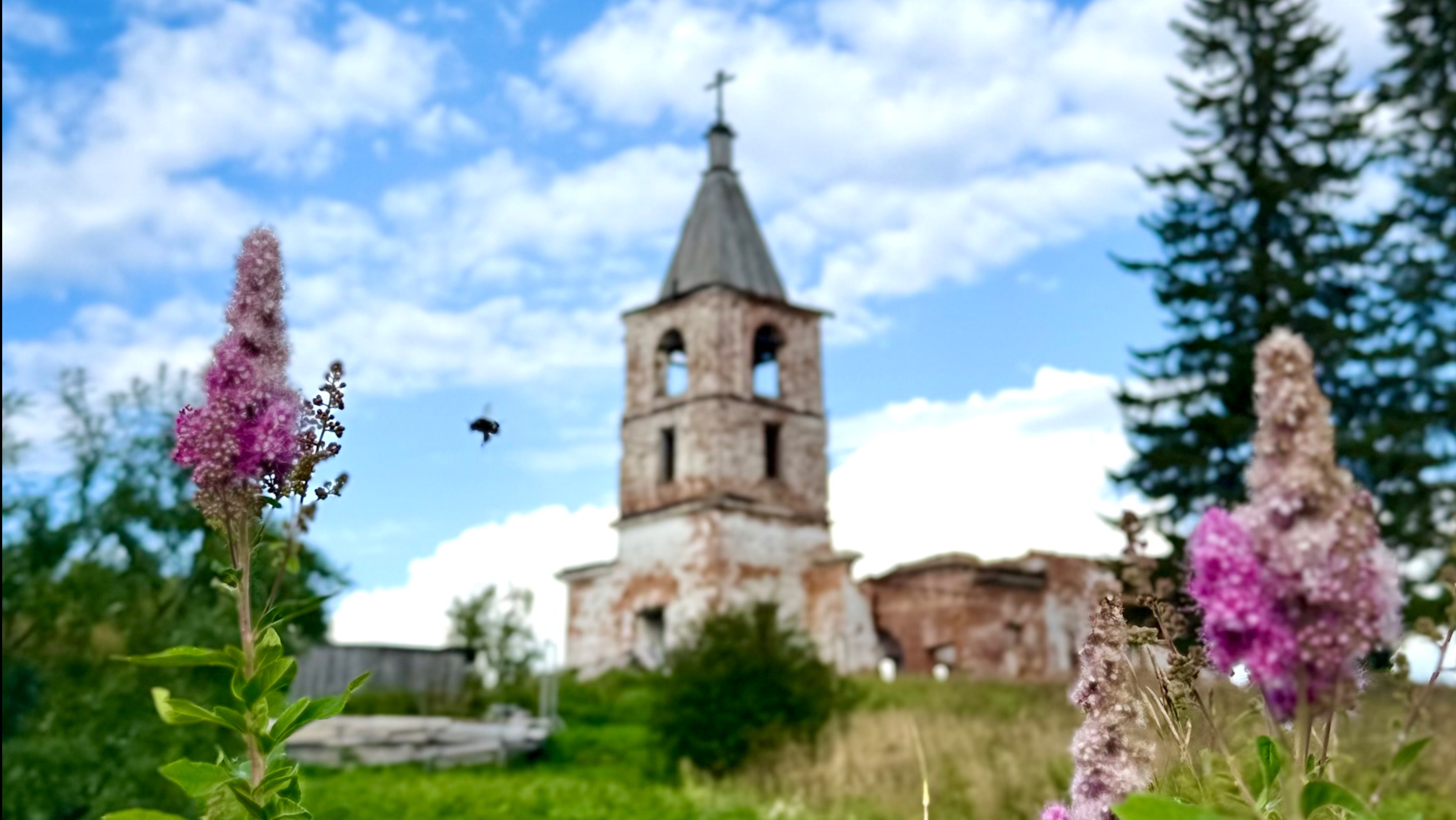 Дом Бажениных в Вавчуге и храм в Богоявлёнке. Трип по деревенским заброшкам. смотреть онлайн