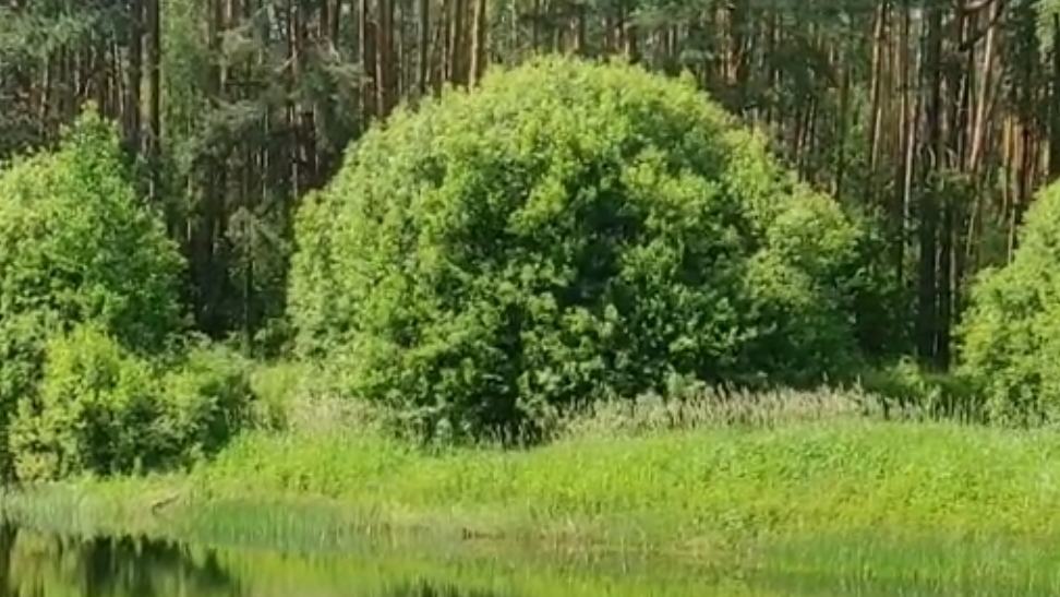 Акафист Святителю Николаю смотреть онлайн