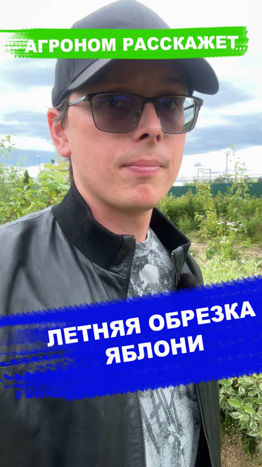 Летняя обрезка яблони смотреть онлайн