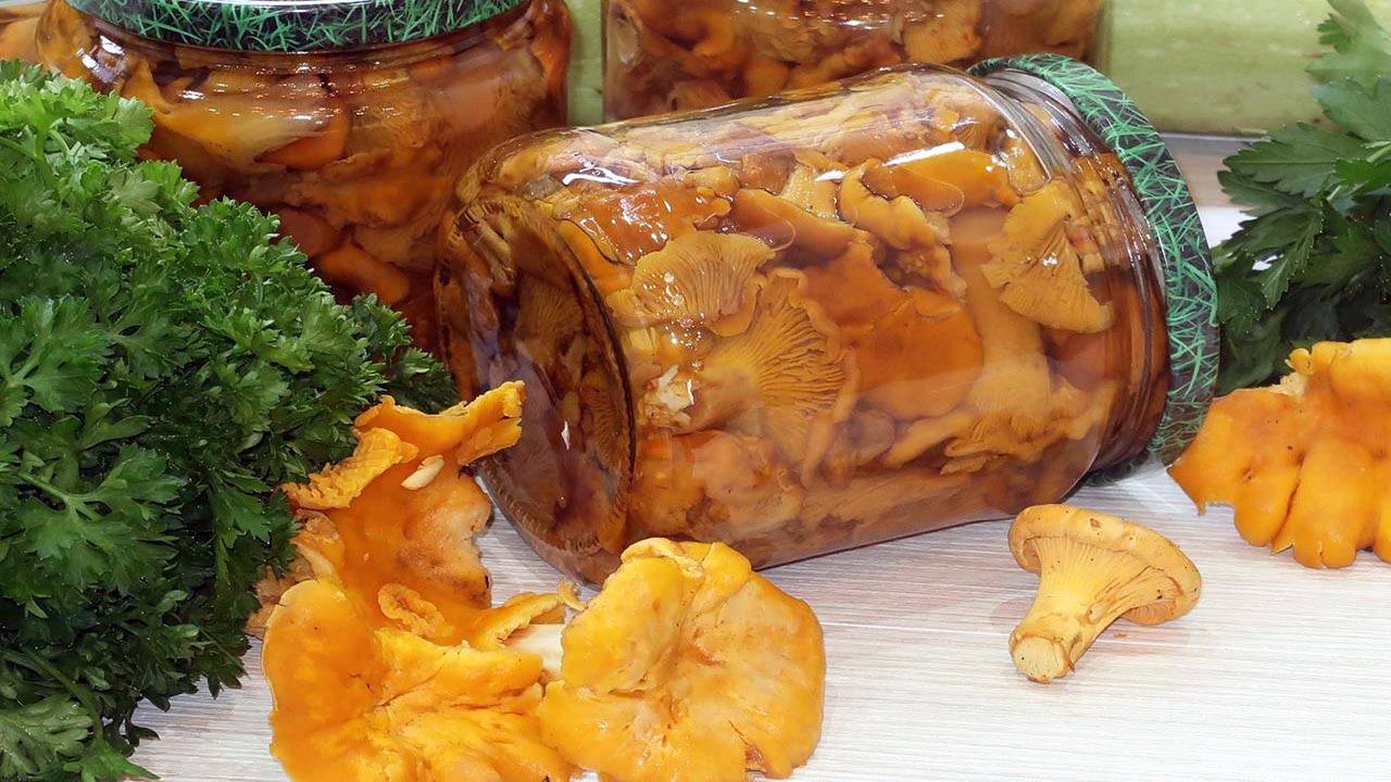 Маринованные лисички на зиму смотреть онлайн