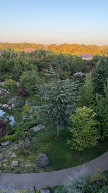 Обзор Японского сада с самой высокой точки #парккраснодар #паркгалицкого смотреть онлайн