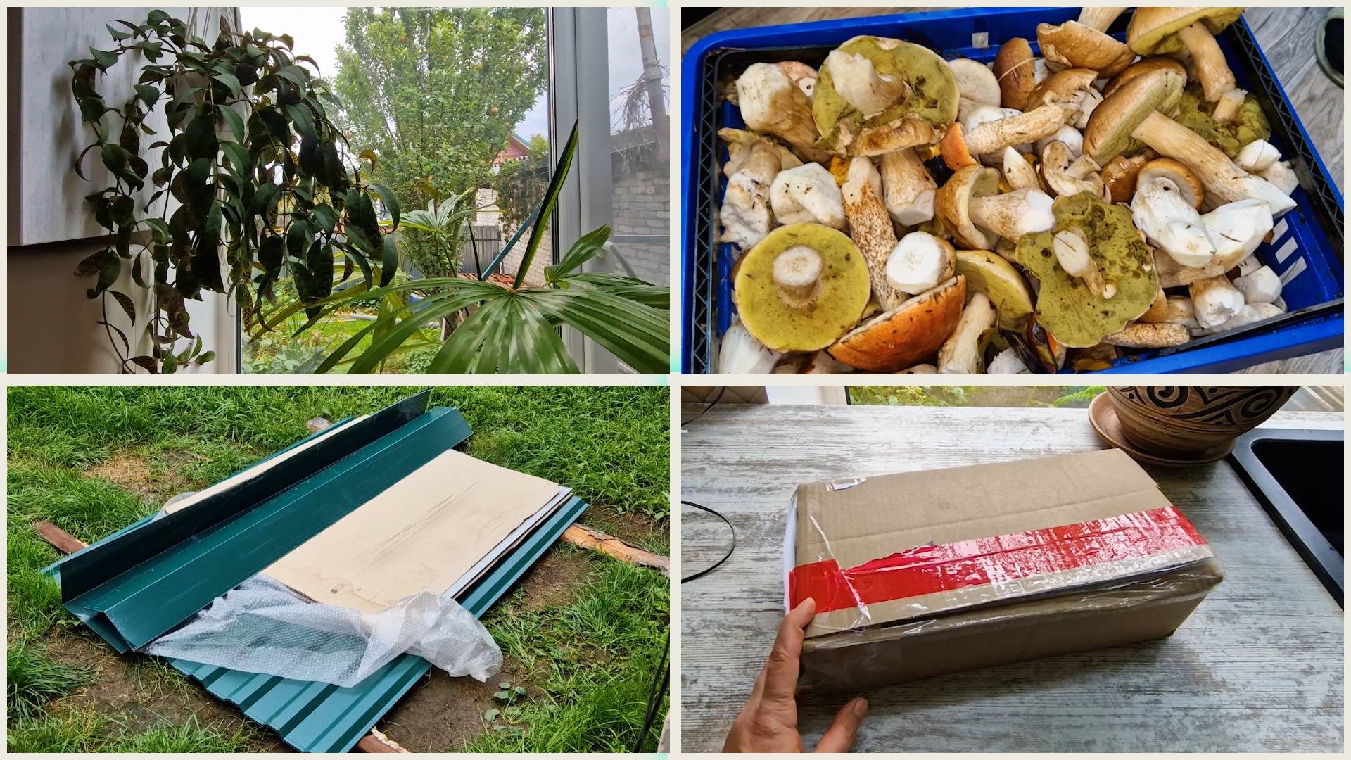 Добрые новости! Был так настроен, что не удержишь. смотреть онлайн