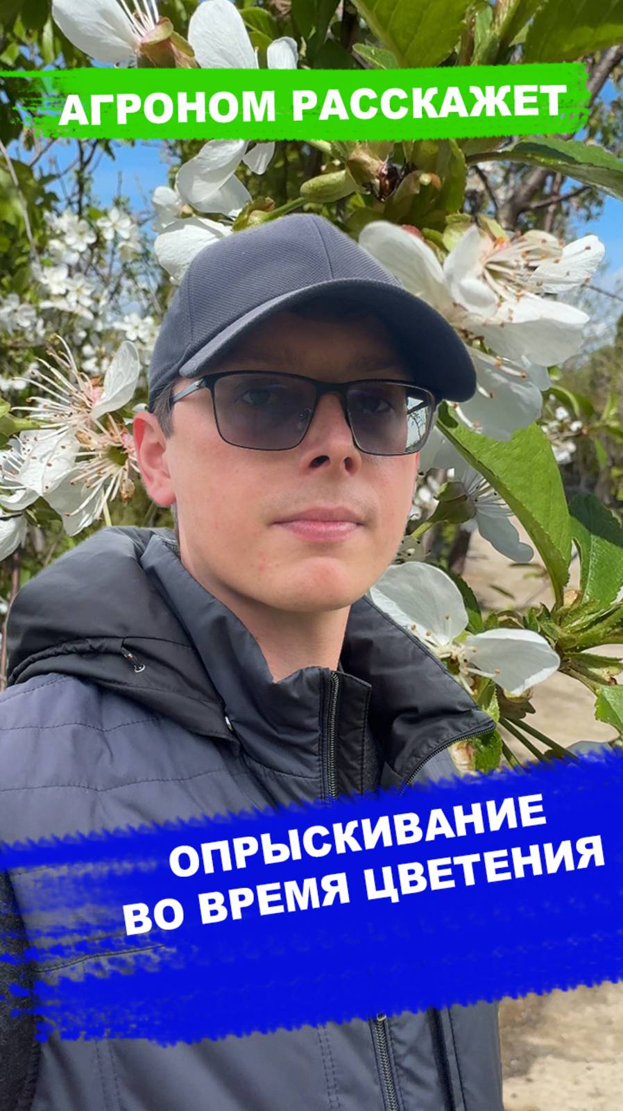 Можно ли опрыскивать сад во время цветения смотреть онлайн