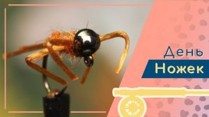 Двухцветное тело для нимфы на примере вариации Pat's Nymph