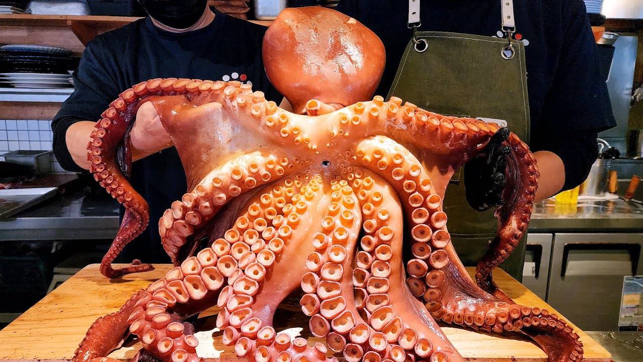 Гигантский осьминог, тунец, лосось, морской лещ, потрясающие сашими из морепродуктов смотреть онлайн