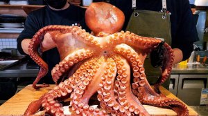 Гигантский осьминог, тунец, лосось, морской лещ, потрясающие сашими из морепродуктов