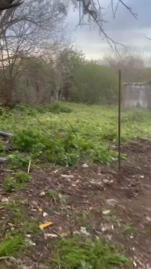 Наш участок ДО: сплошные зарослиУехали с Латвии в Россию в село #поселок #деревня#дача #переезд