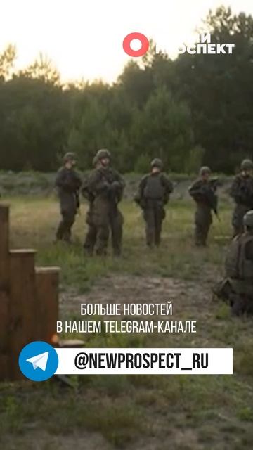 В Германии приняли спорный закон, позволяющий принудительно призывать граждан на военную службу смотреть онлайн