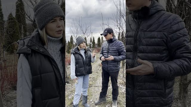 Обработки от болезней и вредителей смотреть онлайн