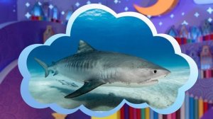 ✨Спокойной ночи, малыши✨136/2025 Почти поймал