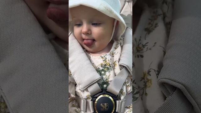 Коляска Sweet Baby Elegante 2в1 видео обзор смотреть онлайн