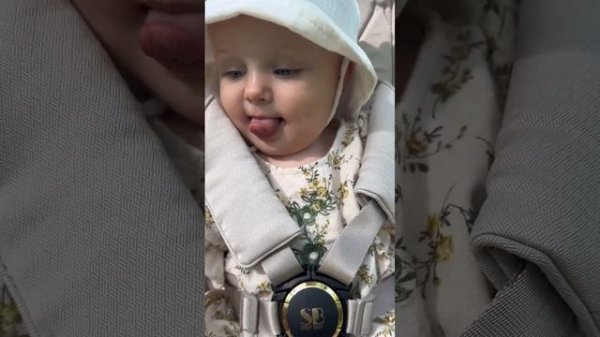 Коляска Sweet Baby Elegante 2в1 видео обзор