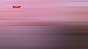 СМИ облетела новость у Никаса Сафронова объявился еще один внебрачный ребенок