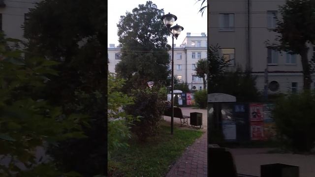 Городской пруд смотреть онлайн