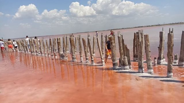 Розовое озеро Сасык-Сиваш смотреть онлайн