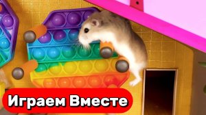 САМЫЕ СЛОДНЫЕ ЛАБИРИНТЫ С ЛОВУШКАМИ ДЛЯ УМНОГО ХОМЯКА 🐹 ВИДЕО ДЛЯ ДЕТЕЙ