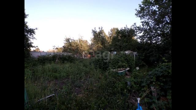 7681617 смотреть онлайн