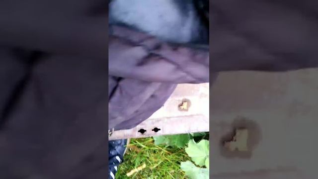 Привезли очередной партию металла на Дачу смотреть онлайн