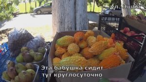 Путь от гостиницы Абааш до пляжа. 800 м. Новый Афон. Абхазия