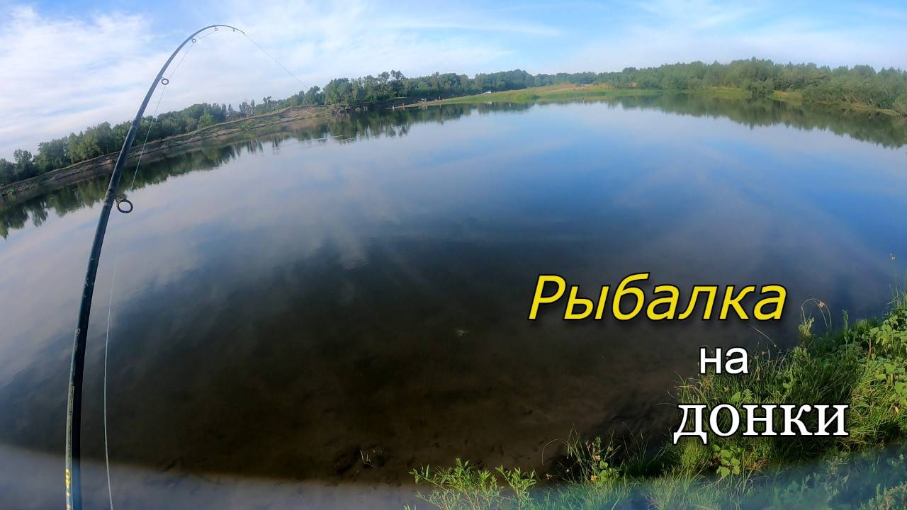 Рыбалка в августе на донки. Ловля САЗАНА на реке Ахтуба. Часть 2 смотреть онлайн