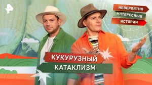 Кукурузный катаклизм — Невероятно интересные истории (27.08.2025)