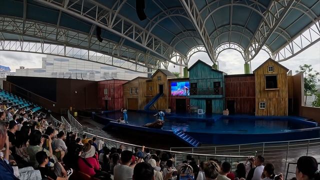 Море впечатлений в Парке развлечений Фули. Hainan Ocean World. смотреть онлайн