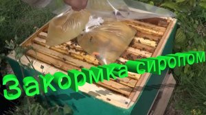 Зачем матерый пчеловод Кашковский сыпет пчелам сахар в зиму? Вы удивитесь