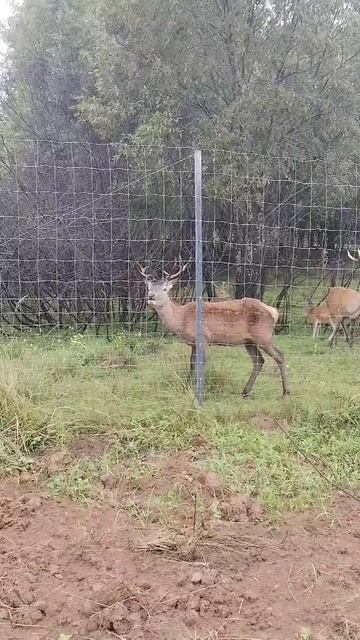 Витамины все любят🤩 смотреть онлайн