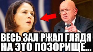 ОТВЕТИЛА ЗА БАЗАР! Провокация Бербок и Звонкий Ответ Небензя в ООН Ошарашили Сеть!