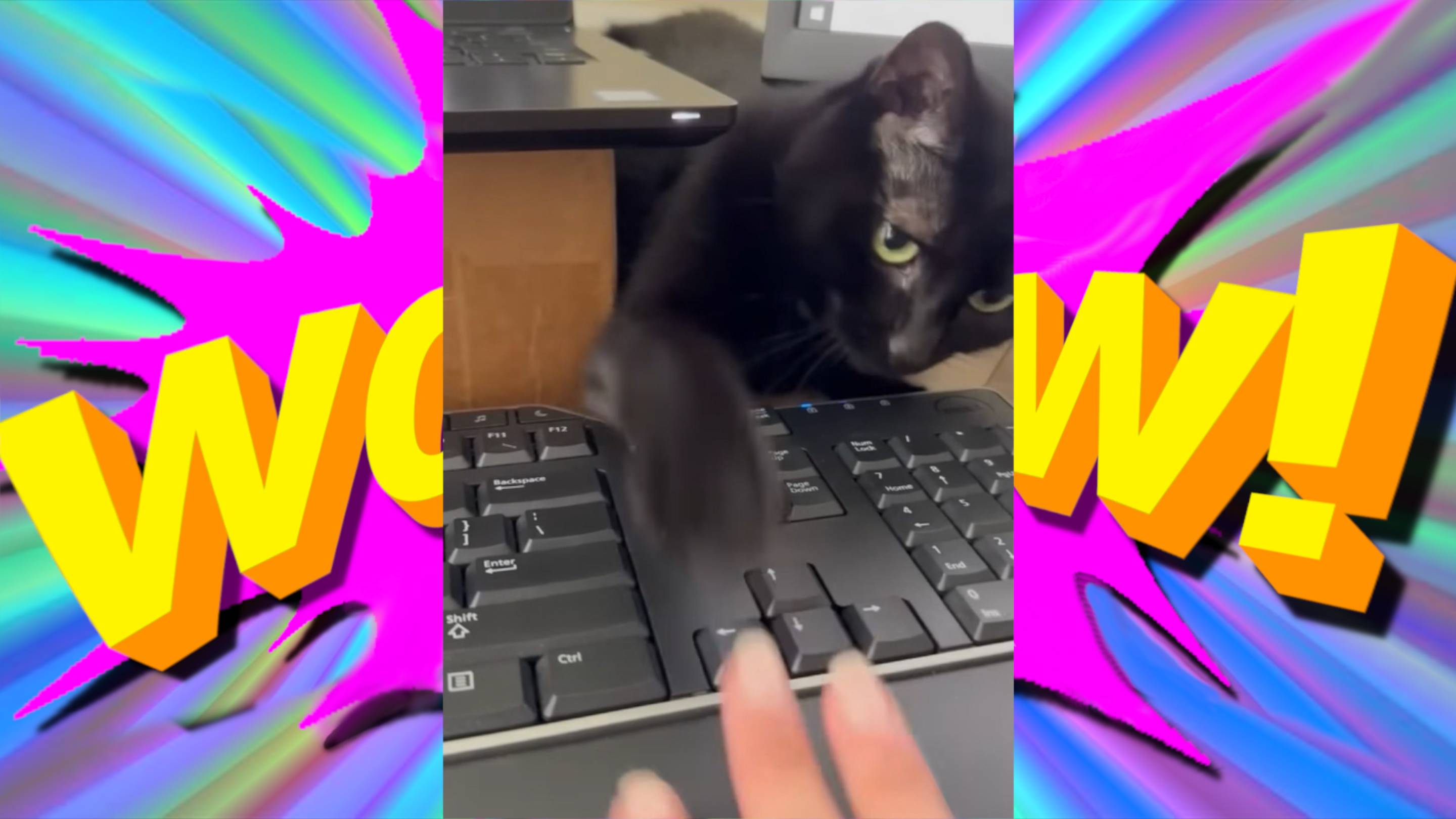 "СМЕХ БЕЗ ГРАНИЦ: ПОДБОРКА СМЕШНЫХ ВИДЕО И ПРИКОЛОВ" смотреть онлайн