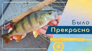 Разнообразие нахлыста