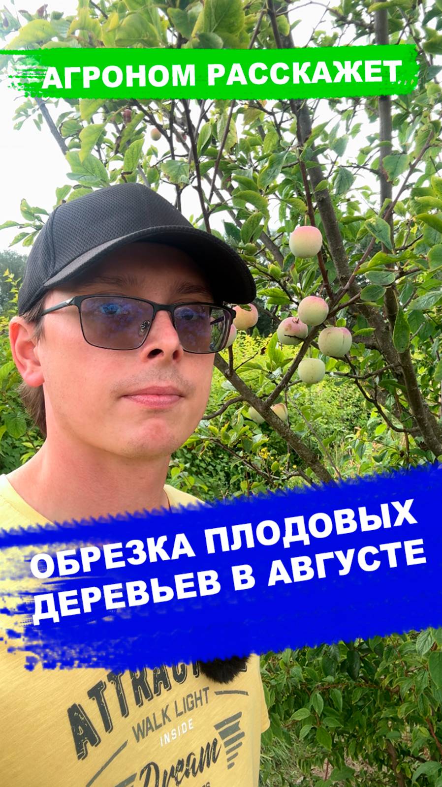 ОБРЕЗКА В АВГУСТЕ смотреть онлайн