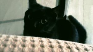 VideoClip Please Go Away