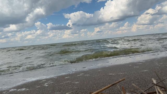 1013. ♫ Céline Dion - "Just walk away"(просто уходи) смотреть онлайн