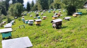 Заезд на пасеку. Снимаем магазины. Медосбор окончен. Полный фильм.