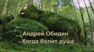 Андрей Обидин - Когда болит душа....