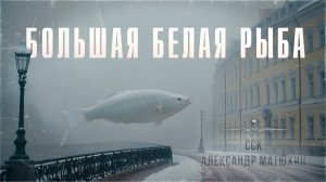 ССК | Питерский вайб. Максимально странная история! БОЛЬШАЯ БЕЛАЯ РЫБА