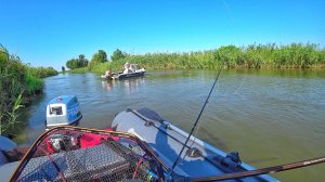 ОНИ ОФИГЕЛИ ОТ МОЕГО УЛОВА!!! ПОКЛЕВКИ НА КАЖДОМ ЗАБРОСЕ!